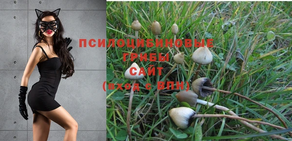 герыч Рославль